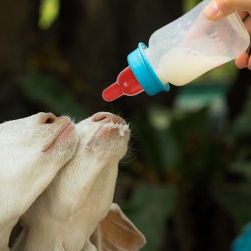 UPKOCH 6 Pcs Goat Nipples for Feeding Baby Goats, Red Rubber Lamb Nipple Milk Bottle Pacifier, Orphaned Sheep Small Animal Feed Supplies