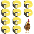 M METERXITY 10-Pack Rooster Collars, 8.07" x 0.79" Adjustable Soft Polyester Anti-Noise Neck Belt for Chickens and Poultry Birds, Noise Control Collar [Yellow] - color: Yellow