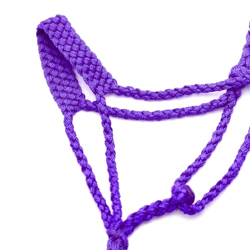 Jeffers Equine Braided Mule Tape Halter with 10' Detachable Lead Rope Set for Horses, 14 to 18 Hands - Stylish Design with Adjustable Poll Strap, Easy to Use Western Tack - Purple - color: Purple