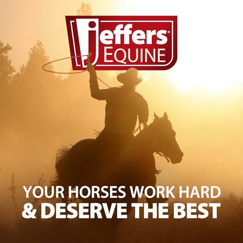 Jeffers Expression Top Loading Hay Bag for Horses & Livestock – Durable 600 Denier Hanging Hay Feeder, Water Resistant with Mesh Bottom, Easy Hanging Snap for Stall, Trailer, Travel - Thunderbird - color: Thunderbird