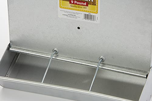 Little Giant® Piglet Feeder | 3-Hole Feeder | Galvanized Baby Pig Feeder
