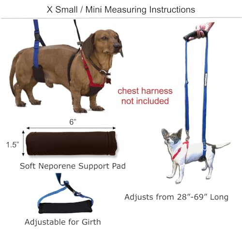 GINGERLEAD Dog Back Support IVDD Sling Harness, X-Small & Dachshunds | Fits Pets Under 25 lbs and Doxies, Walking Aid for K9s with Disc Disease, Fully Adjustable, Chest Harness NOT Included - size: X-Small - Male