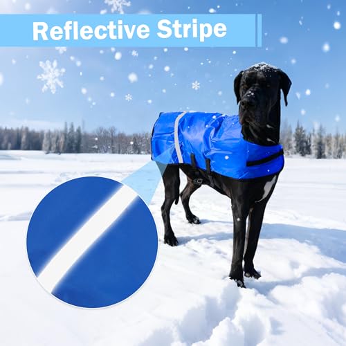 Calf Coat - Blue Calf Blanket for Winter, 2-Pack | Winter Blanket for Calves, Goats, Dogs, Foal, Donkey | Water Resistant & Adjustable Livestock Warmer