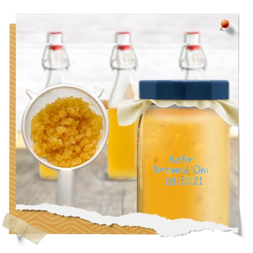 Nylon Mesh Strainer 2 Pack - Strain Your Wide Mouth Mason Jar Batches - Less Mess, Less Waste - Strain Your Water Kefir Grains - Homebrewing And Kitchen Essential - 2 Strainers - 3"
