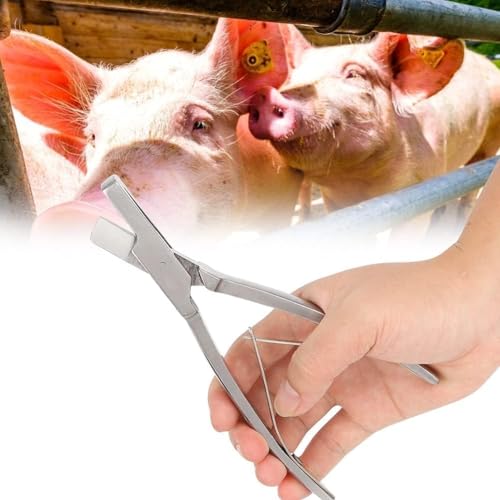 Pig Ear Tag Pliers, Stainless Steel Animal Identify Tool for Pig Equipment Farm Animals Stainless Steel Pig Ear Tag Plier(V shape)