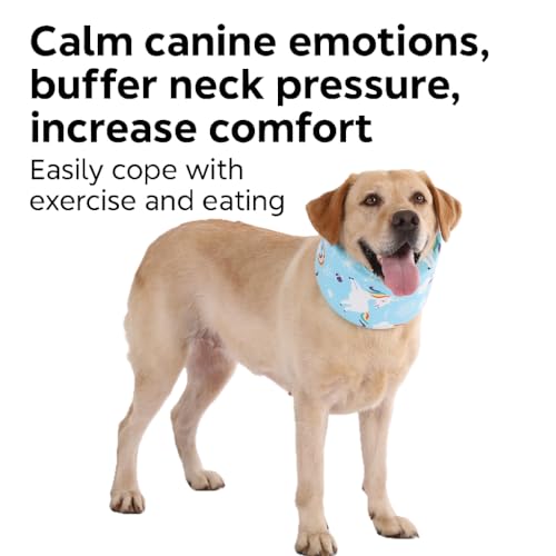 LovinPet Dog Recovery Collar, Adjustable Soft Cone for Medium & Large Dogs, Post-Surgery Comfort & Lick Prevention, Starlight Rainbow Unicorn Prints,Blue