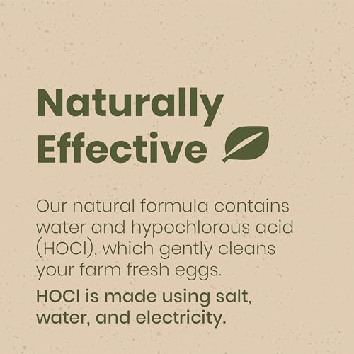Egg Wash for Fresh Eggs, Non-Toxic Formula, 1 Gallon Refill | Fresh Chicken & Duck Eggs, Hypochlorous Acid, Remove Dirt, Food Safe, Fragrance-Free, Non-Toxic Cleaner, No Chemical Residue - size: 128 Fl Oz (Pack of 1)