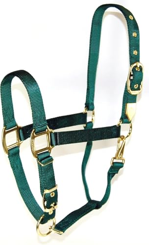 Hamilton Deluxe Adjustable Horse Halter, 800-1100 lbs, Dark Green | Premium Quality 1" Triple Ply Nylon, Average/Arabian/Yearling Draft, Adjustable Chin Strap, Throat Snap, Solid Brass Hardware - color: Dark Green, size: Average, 800-1100lbs