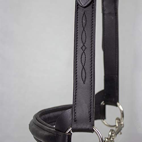 Derby Originals Premium Raised Padded Fancy Stitch Leather Cattle Show Halter with Matching Chain Lead - color: Black, size: Medium (650-1050lbs)