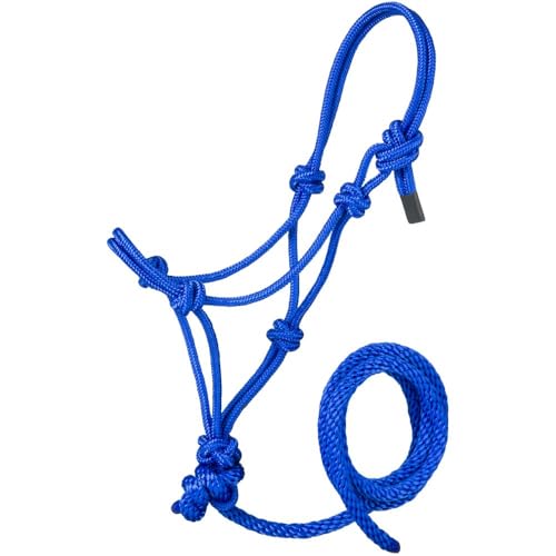 Tough1 Miniature Poly Rope Halter with Lead - color: Royal Blue, size: Medium