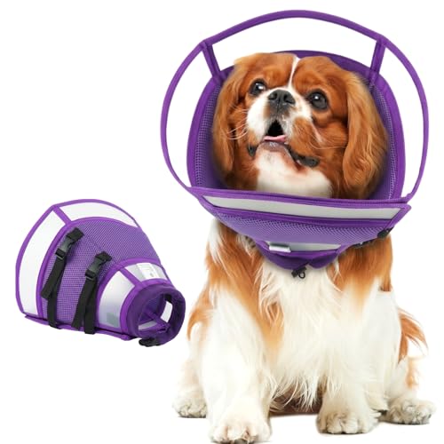 Dog Cone Collar After Surgery to Stop Licking | Adjustable Elizabethan Collar for Neutering, Lightweight Breathable Recovery Neck Cone to Prevent Biting Wounds & Hot Spots (Purple, L) - color: Purple, size: Large