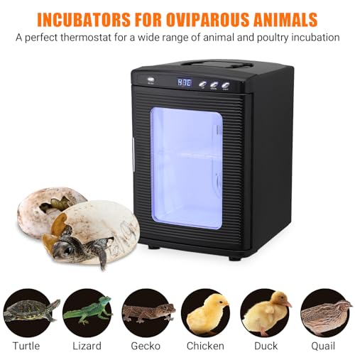 25L Reptile Egg Incubator with Cooling & Heating - Portable Scientific Lab Incubator, 10°c-60°c Temperature Control, 12V/110V Digital Incubator for Small Reptiles Hatching,Black - color: Black