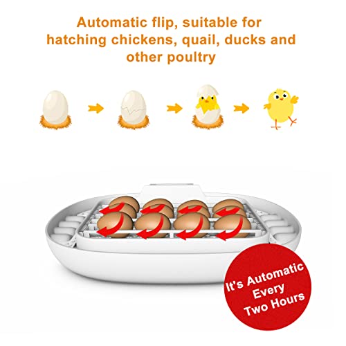 Egg Incubators, 16 Eggs Incubator for Hatching Eggs with Automatic Egg Turning & Temperature Control & Auto Water Adding for Farm Hatching Chicken Quail Ducks