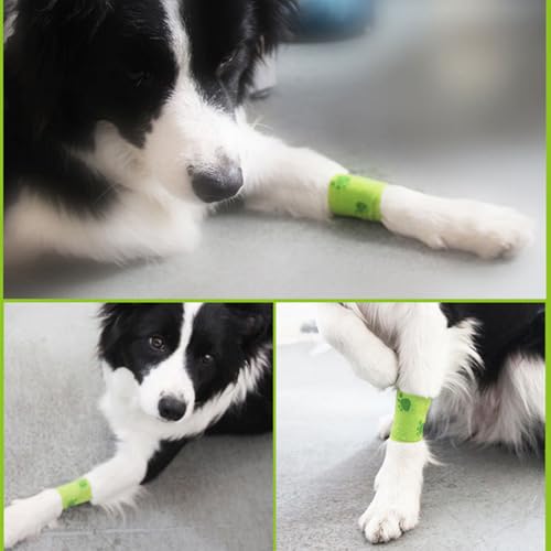 20 Rolls Dog Bandages for Wounds, Self Stick Vet Wrap for Dogs Horse, Vet Tape Elastic Self Adhesive Bandage Wrap(2 Inch 3 Inch) - color: 2 Inch/3 Inch-20 Count Mixed