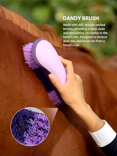 Harrison Howard Horse Grooming Brushes Kit 7 pieces with Organizer Tot Equine Care Series Horse Brush Sets New Purple - color: New Purple