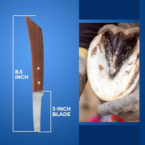 Hoof Knife Double Edged Wide Straight Blade,Stainless Steel Curved Blade Farrier Tool with Wooden Handle (Left Hand) - style: Extra Long Shaft - LH