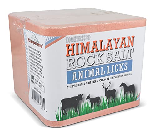 Compressed Salt Lick for Livestock & Wildlife, 11 lb - size: 11 Pound (Pack of 1)