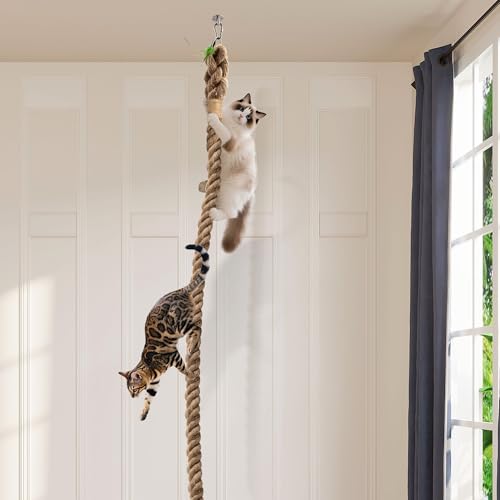 2" x 9.84Ft Cat Climbing Rope with Hook for Ceiling & Wall Mounted | Natural Sisal Rope for Cat Scratcher with Feather Toy for Indoor/Outdoor Cats, Durable Cat Tree Replacement Rope
