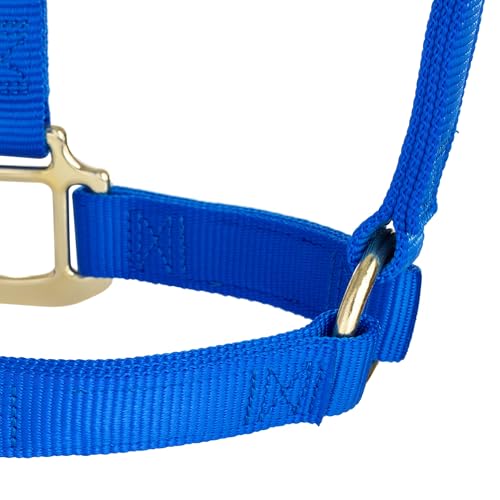 Weaver Leather Original Non-Adjustable Nylon Horse Halter, Small, Blue