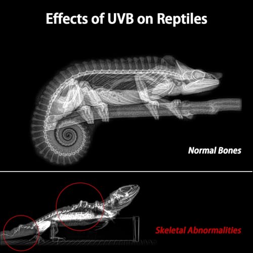 39-Inch LED UVB Reptile Light with Auto On/Off & Preset Day-Night Cycle Dimming, 4 UVI Modes Fixture Controller, 27W Aluminum UVA UVB Lamp for Bearded Dragons, Turtles & Snakes, 6500K - size: 39 INCH