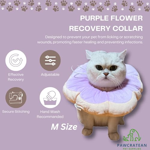Adjustable Comfy Flower Style Elizabeth Collar for Cats Puppies Soft Recovery Cone Pet Protective Neck Collar (Purple, Small) - color: Purple, size: Small