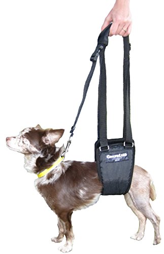 GINGERLEAD Dog Support Sling Rear Leg Harness, SM Male, Machine Wash & Dry | Fits Small to Medium Size Pets or Larger Barrel-Chested Breeds like Boxers, Bullies. Male Dachshunds use XS Size. Made in USA - size: Small - Male