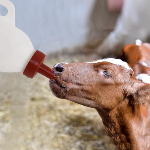 2L Calf Nursing Bottle with Handle and Replacement Nipple, Used for Animal and Livestock Care Milk Storage Bottle Detachable Removable Nipple Feeding Bottles (Vertical)