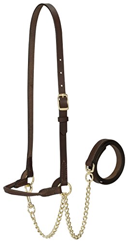 Weaver Leather Livestock Dairy Halter, Medium, Brown