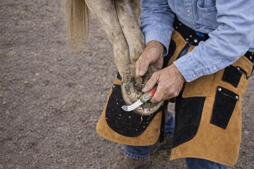 CHALLENGER Horse Farrier Tool 3-Piece Horse Equine Farrier Hoof Grooming Shoe Care Tool Kit w/Carry Bag 984142