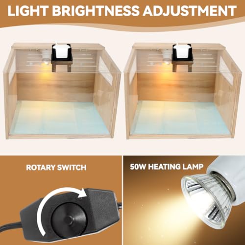Chicken Brooder Box with Camera : 2.5K HD 5G Chicken Watching Camera, Adjustable Temperature Control Brooder Box for Small Chicks, Ducks, Quails, Idea Gift Christmas (15.7x12x12 Inches) ﻿