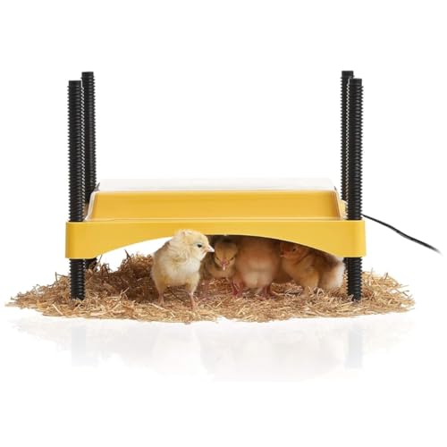 Brinsea Ecoglow Safety 600 Chick or Duckling Brooder, Up to 20 Chicks | 50+ years of trusted care! Height-adjustable 12W Brooder Plate delivers safe low voltage heat for natural stress-free growth - size: Up to 20 newborn chicks or 12 older chicks