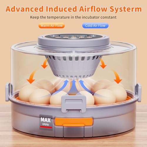 12 Egg Incubators for Hatching Eggs, Automatic Egg Turning & Humidity Control Intelligent Temp Eggs Candler for Chicken Quail Duck etc. Eggs, Suit for Beginner Backyard Hobbyist Students Education - color: Light gray