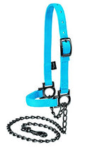 Weaver Nylon Adjustable Sheep Halter with Chain Lead - color: Hurricane Blue