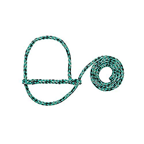 Weaver Leather Poly Rope Sheep Halter Bundle (Mint/Black/Gray and Hot Pink/Coral/Mint)