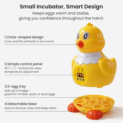 Egg incubators for hatching eggs, Small Incubator with Adjustable Temperature, Airflow & Clear Window, 6 Eggs Hatcher for Chicken Duck Quail Pigeon, Perfect for Home Classroom Kids