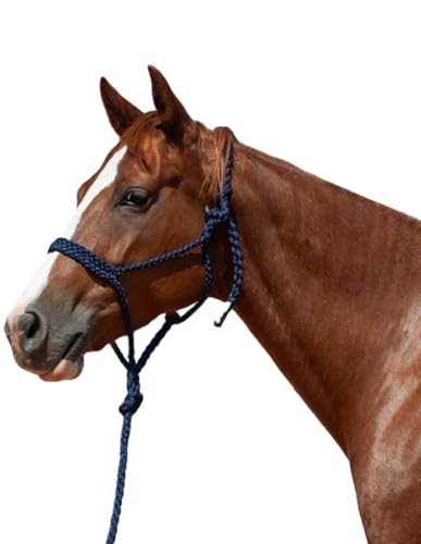 Cashel Flat Braid Halter and Leadrope - color: Navy