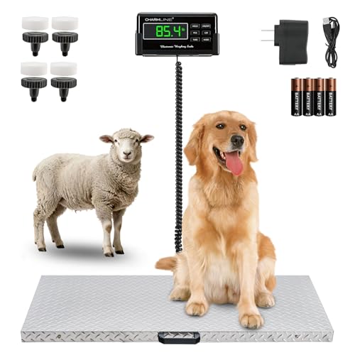 Charmline 1100lbs x 0.2lbs High Accuracy Digital Postal Scale with 41x21 in Large Stainless Steel Platform, Heavy Duty Scale for Dog, Pig, Goat Sheep, Battery & AC Adapter Powered, Slip-Resistant - size: 41x21 in