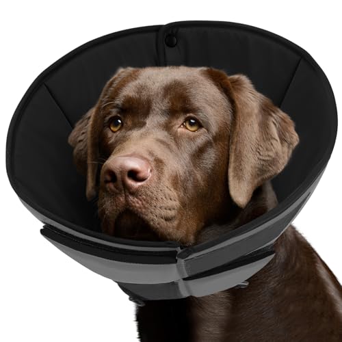 Dog Cones for Large Dogs, Soft Dog Cone Large for Wound Care | Cone for Dogs After Surgery, Adjustable Elizabethan Collar for Pet to Prevent Licking Wounds, Grey L - color: Grey, size: L