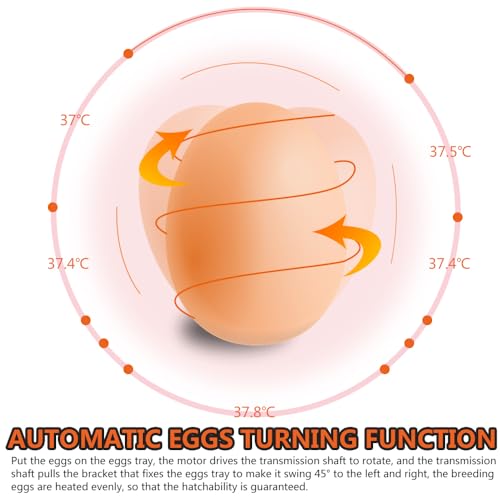 PIT66 (48 Eggs) Fully Automatic Self-energizing Incubator for Chickens, Ducks, Geese and Other Poultry &Quail, Pigeons and Other Birds