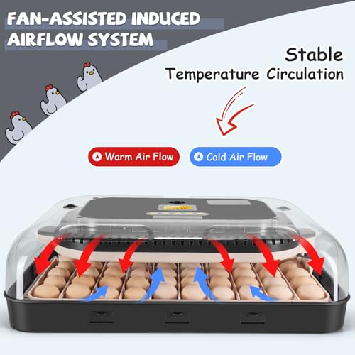 Sailnovo 70 Egg Incubator for Hatching Eggs with Automatic Turning and Auto Humidification, Temperature Control, Egg Candler, Incubator for Chicken Duck Quail Eggs, 23.23'' x 16.34'' x 7.09''