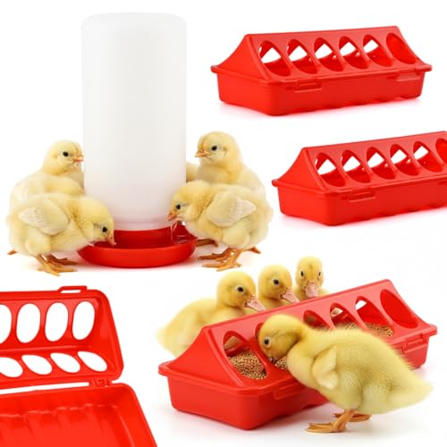4PCS Chick Feeder and Waterer Kit, Baby Chick Starter Kit | 3×12-Hole Trough Feeders and 1 Low-Spill Chicks Waterer, for Small Poultry Chicks Ducks Quail Pigeons Birds