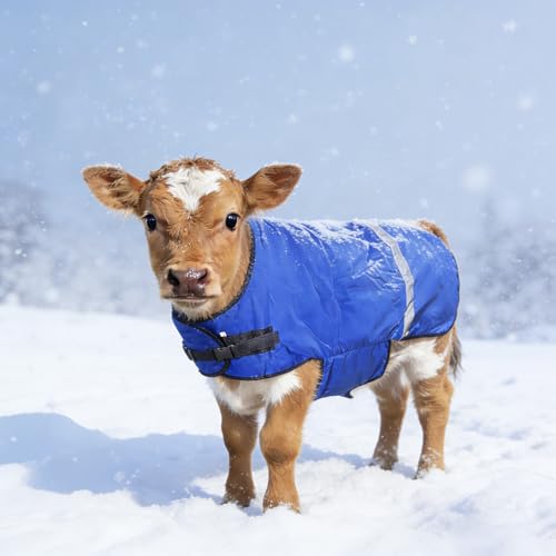 2 Goat Coats for Winter Calf Blanket Horse Blanket Goat Blankets for Winter Calf Clothing Calf Warm Artifact Calf Cold Clothing Calf Keep Warm Clothing Horse Blanket for Cattle Blue
