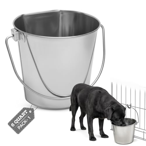 6 Quart Stainless Steel Flat Side Bucket – 1.5 Gallon Heavy Duty Hanging Dog Water Buckets for Kennels & Cages – Flat Back Food & Water Feeding Pail for Livestock, Goats, Sheep & Horses - size: 6 Quarts