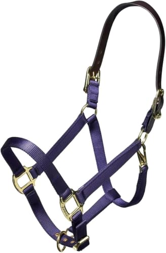 ARMA Shires Nylon Halter with Leather Head Strap - color: Navy, size: Cob
