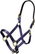ARMA Shires Nylon Halter with Leather Head Strap - color: Navy, size: Cob