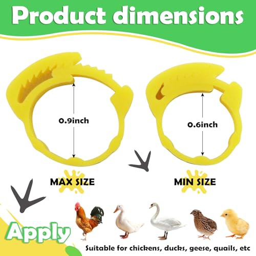 7Size-Adjustable Chicken Leg Bands, Plastic Poultry Rings with 1-100 Number for Hens Roosters Ducks Birds,Snap Lock Leg Bands for Farm Backyard Flock Tracking(100-pack,Assorted Colors)