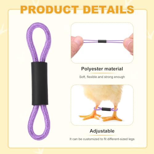 M METERXITY 50-Pack Adjustable Chick Leg Bands, 1.38" x 0.2" Polyester Chicken Leg Brace for Chicks/Ducks/Birds [Purple] Poultry Leg Bands - color: Purple