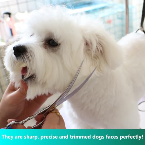 HASHIMOTO Curved Dog Grooming Scissors, 7.5 inch, Trimming Face and Paws | Sharp, Lightweight, 440C Stainless Steel, 30 Degree of Curved Blade - size: 7.5", style: Curved
