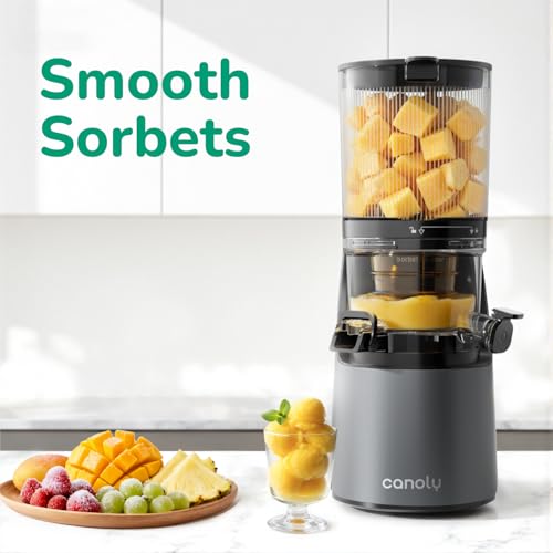 Canoly 3-in-1 Cold Press Juicer C16, Makes Juice & Sorbet & Nut Milk | 6" Extra Wide Feed Chute, Powerful AC Brushless Motor, Self Precut System, Juicer Machines with BPA-Free (Space Gray) - color: Space Gray