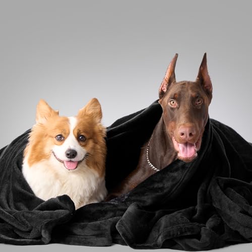 Hansleep Throw XL Black Fleece Blanket, Soft Flannel Bed Blanket | Fuzzy Cozy Blanket 50x70 Inches, Multi-use for Bed, Sofa, Couch, Travel, Camping, All Season Warm Lightweight Cover - color: Black, size: Throw XL (50x70 Inches)